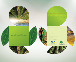 portafolio empaque invitacion